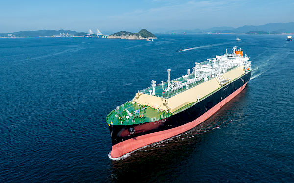 Tritec Marine completes multi-vessel LNG shipbuilding project